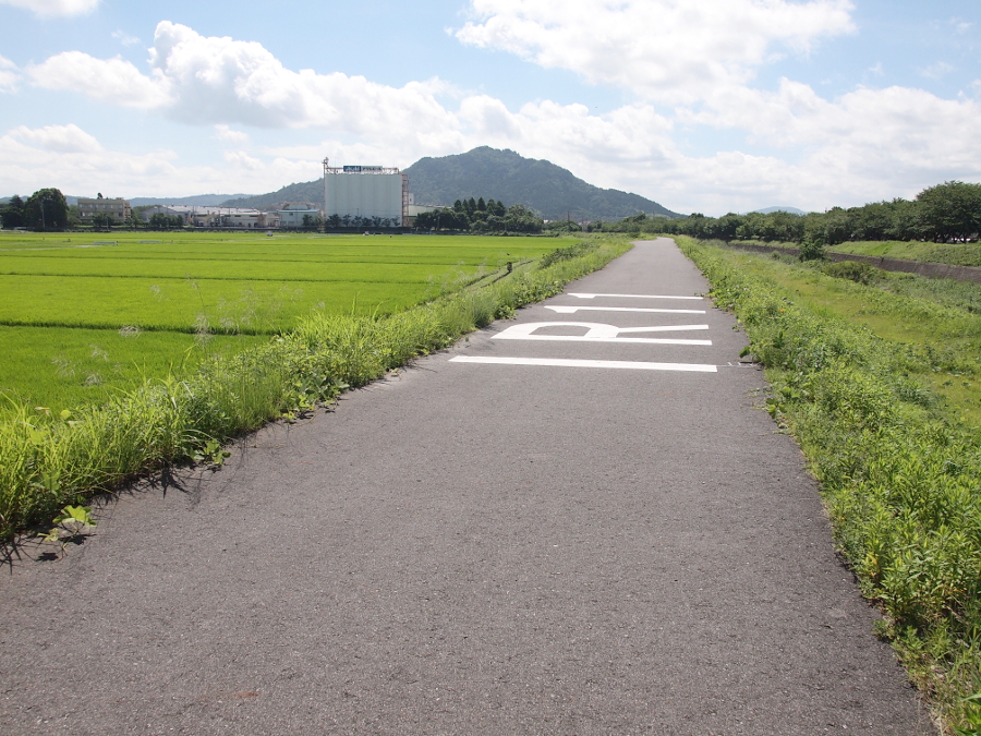写真拡大