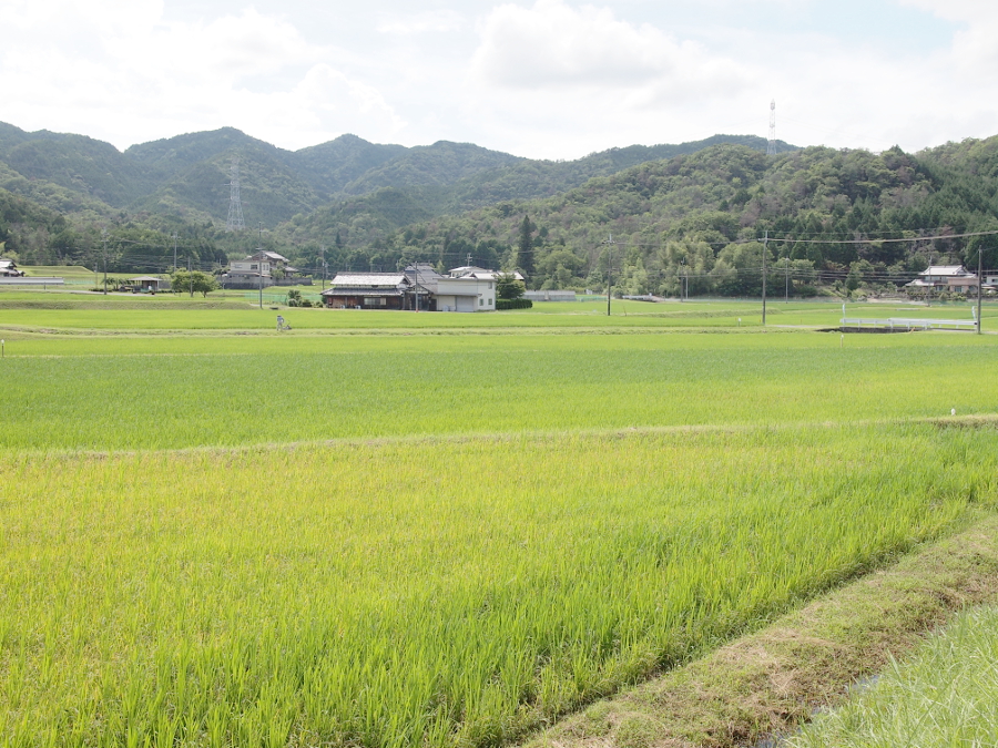 写真拡大