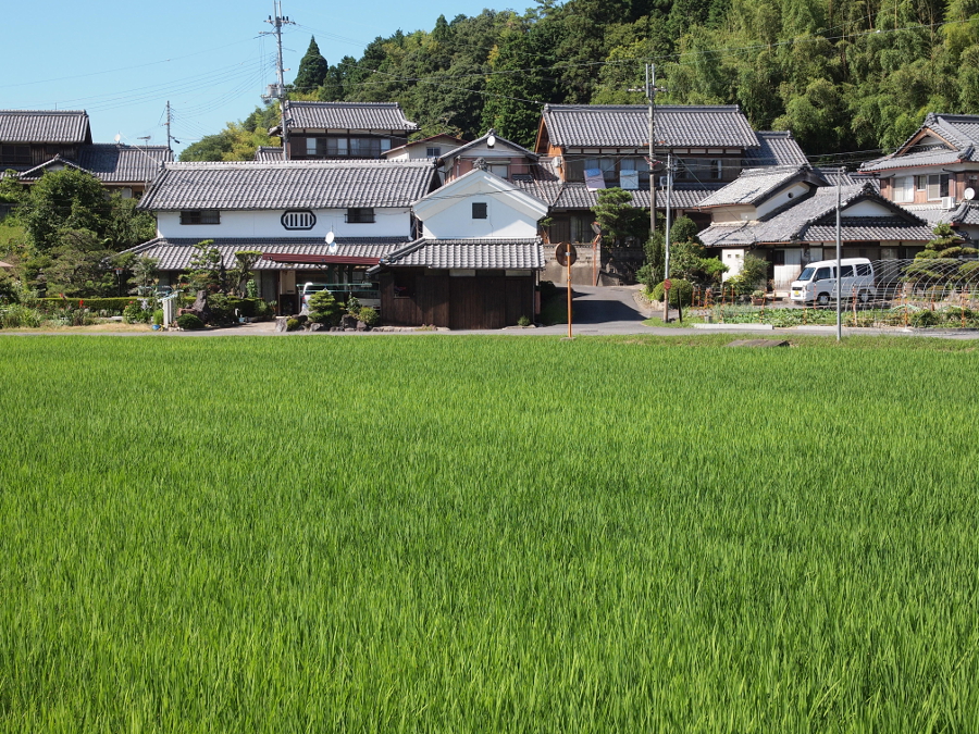 写真拡大