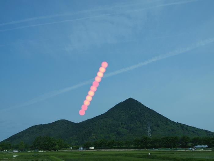 ʐ^g